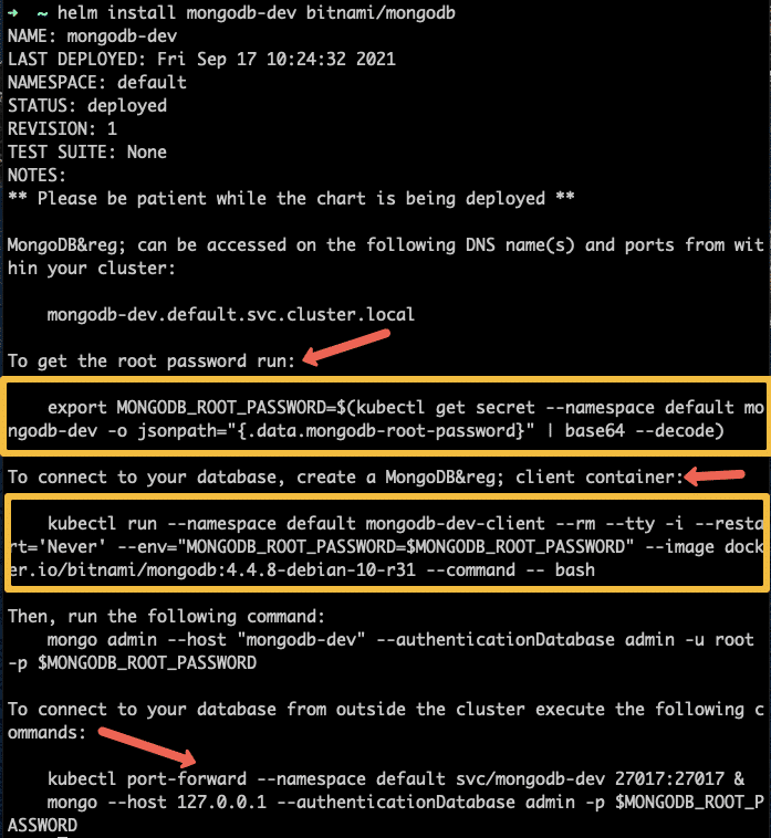 Kubernetes MongoDB deployment connection details.