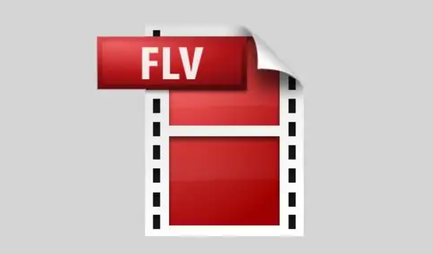 Windows Server2008服务器IIS支持flv,f4v,mp4在线播放